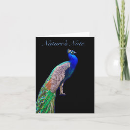 PEACOCK RESTING FOTO PHEASANT NOTE CARD