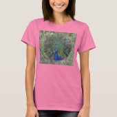 Peacock Ringer-Bird-T - Shirt (Vorderseite)