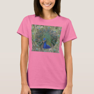 Peacock Ringer-Bird-T - Shirt