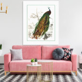 Peacock Roosting Leinwanddruck (Insitu (Wohnzimmer))