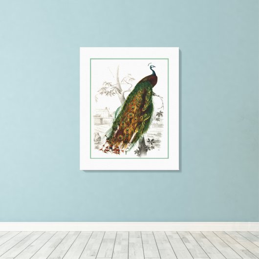 Peacock Roosting Leinwanddruck (Insitu (Holzboden))