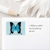 Peacock Royal (Insitu)