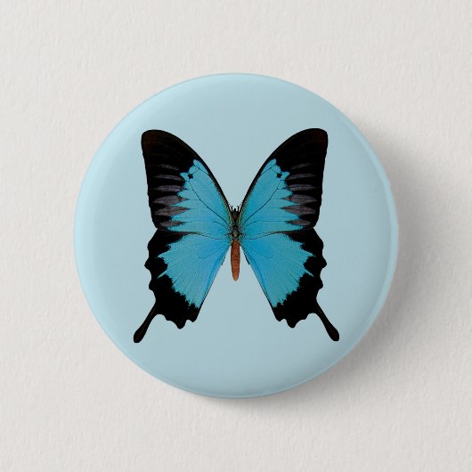 Peacock Royal Button (Vorderseite)