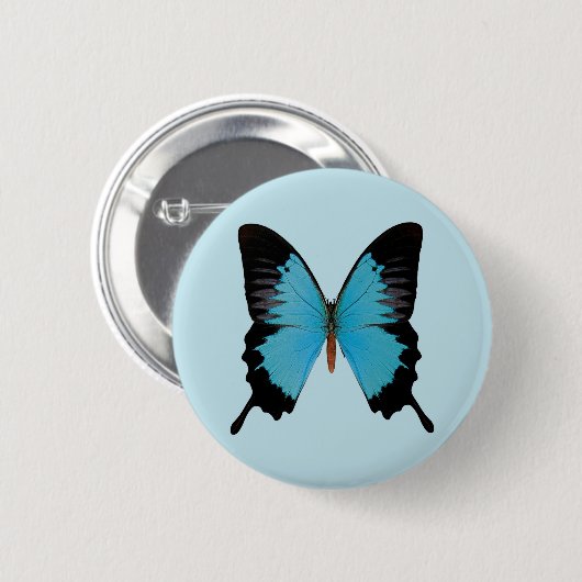 Peacock Royal Button (Vorne & Hinten)