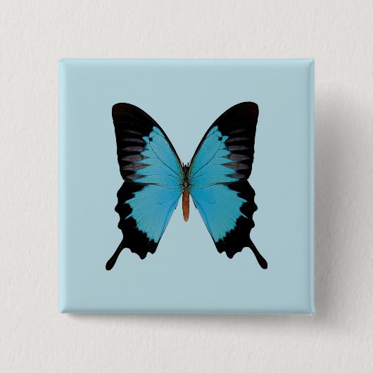 Peacock Royal Button (Vorderseite)