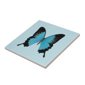 Peacock Royal Fliese (Seite)