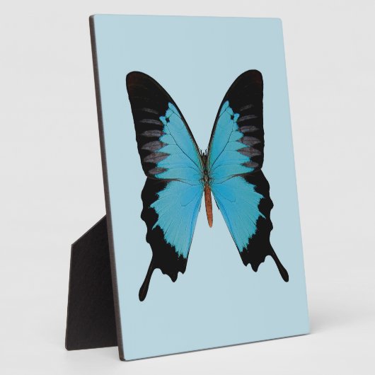 Peacock Royal Fotoplatte (Seite)