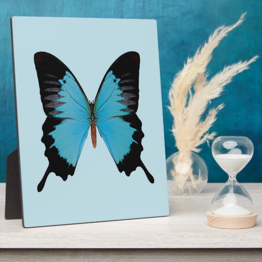 Peacock Royal Fotoplatte (Seite)