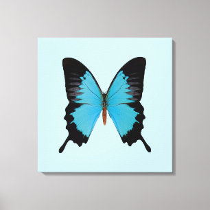 Peacock Royal Leinwanddruck