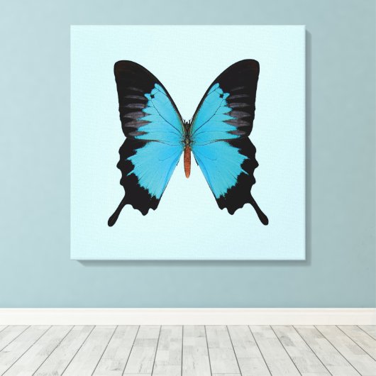 Peacock Royal Leinwanddruck (Insitu (Holzboden))