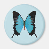 Peacock Royal Magnet (Vorne)