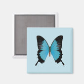 Peacock Royal Magnet (Vorderseite/Rückseite)