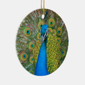 Peacock S9K.jpg Keramikornament (Rechts)