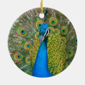 Peacock S9K.jpg Keramikornament (Hinten)