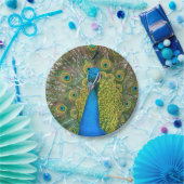 Peacock S9K.jpg Pappteller (Party)