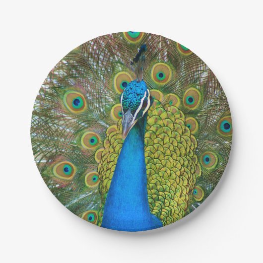 Peacock S9K.jpg Pappteller (Vorderseite)