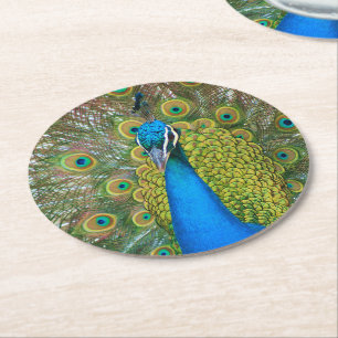 Peacock S9K.jpg Runder Pappuntersetzer
