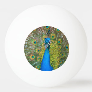 Peacock S9K.jpg Tischtennisball