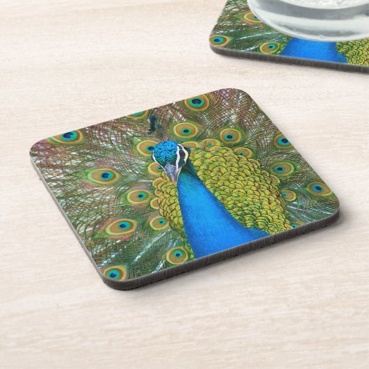 Peacock S9K.jpg Untersetzer (Linke Seite)