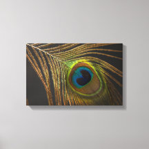 Peacock’s Eye