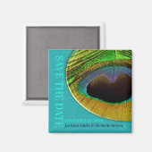 Peacock Save the Date Aqua Magnet (Vorderseite/Rückseite)