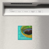 Peacock Save the Date Aqua Magnet (In Situ (Geschirrspüler))