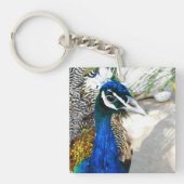 Peacock Schlüsselanhänger (Vorderseite)