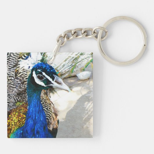 Peacock Schlüsselanhänger (Rückseite)