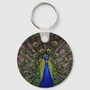 Peacock Schlüsselanhänger