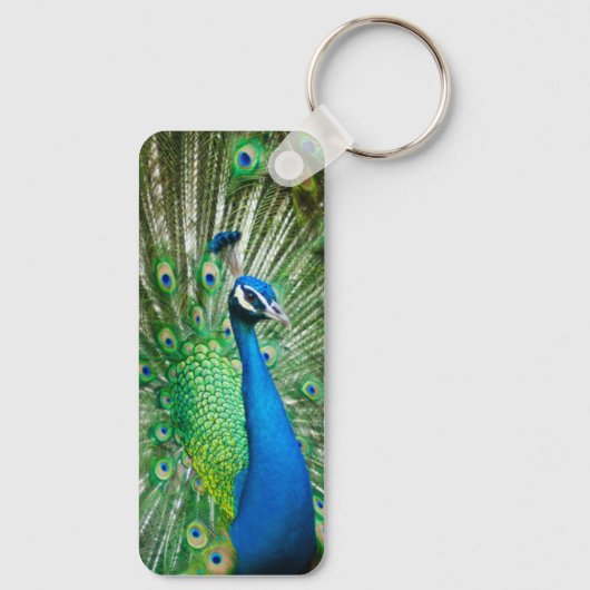 Peacock Schlüsselanhänger (Rückseite)