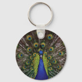 Peacock Schlüsselanhänger (Vorderseite)