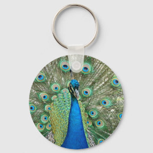 Peacock-Schlüsselanhänger Schlüsselanhänger