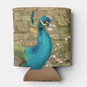 Peacock Schöne Naturfotografie Dosenkühler (Rückseite)