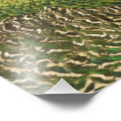 Peacock Schöne Naturfotografie Fotodruck (Ecke)