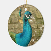Peacock Schöne Naturfotografie Keramik Ornament (Links)