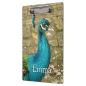 Peacock Schöne Naturfotografie Klemmbrett (Links)