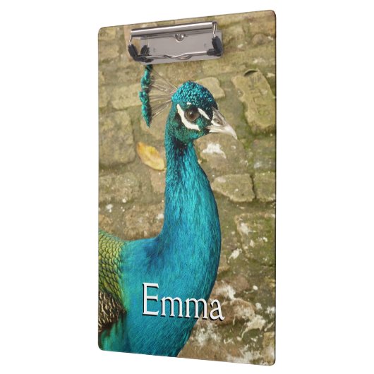 Peacock Schöne Naturfotografie Klemmbrett (Links)