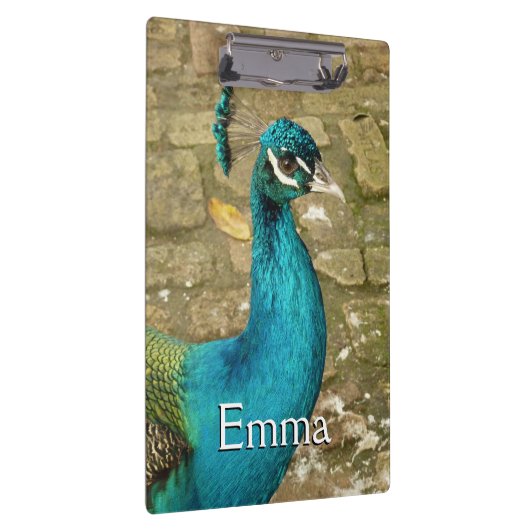 Peacock Schöne Naturfotografie Klemmbrett (Rechts)