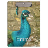 Peacock Schöne Naturfotografie Klemmbrett (Vorderseite)