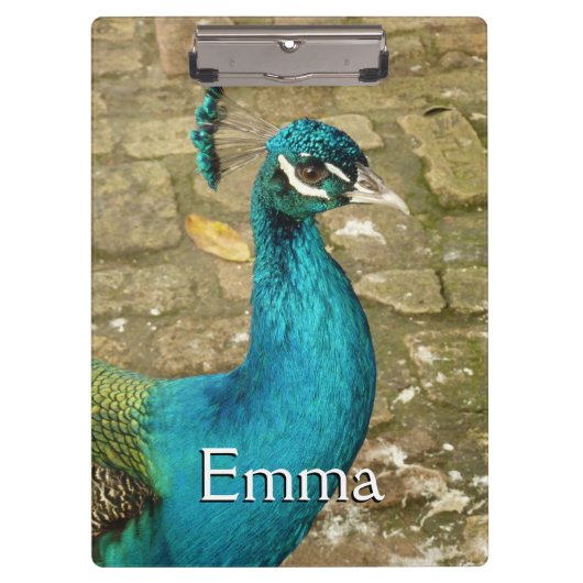 Peacock Schöne Naturfotografie Klemmbrett (Vorderseite)