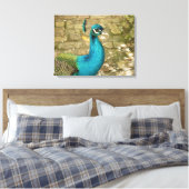 Peacock Schöne Naturfotografie Leinwanddruck (Insitu (Schlafzimmer))