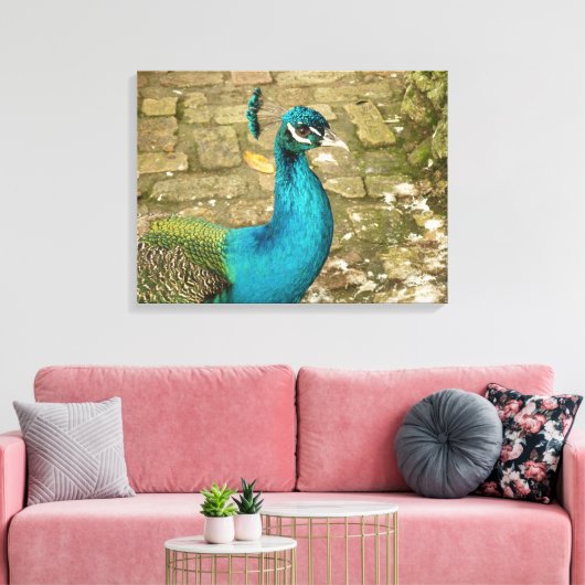 Peacock Schöne Naturfotografie Leinwanddruck (Insitu (Wohnzimmer))