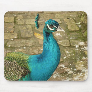 Peacock Schöne Naturfotografie Mousepad