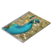 Peacock Schöne Naturfotografie Notizblock (Linke Seite)