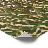 Peacock Schöne Naturfotografie Poster (Ecke)