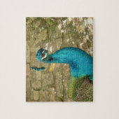 Peacock Schöne Naturfotografie Puzzle (Vertikal)