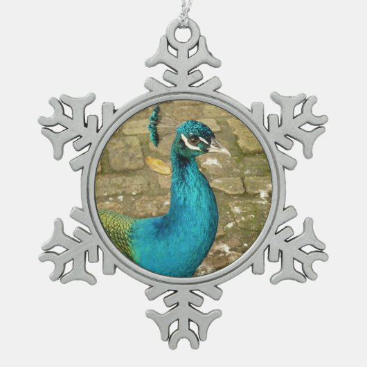 Peacock Schöne Naturfotografie Schneeflocken Zinn-Ornament (Vorderseite)