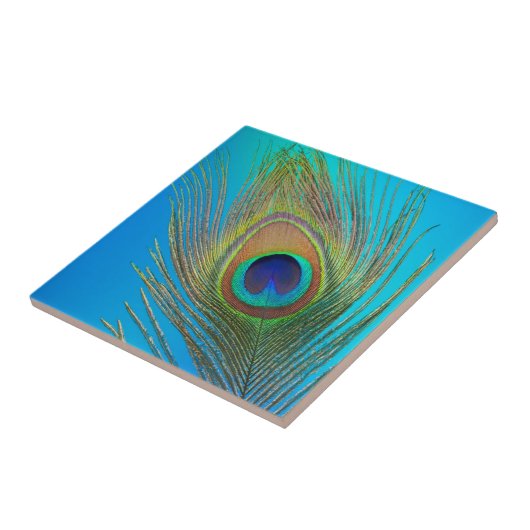 Peacock Schwanz Feather Fliese (Seite)