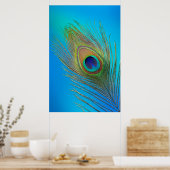 Peacock Schwanz Feather Poster (Küche)