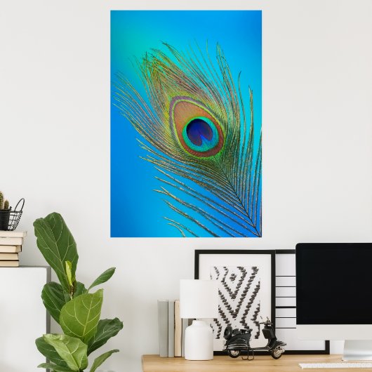 Peacock Schwanz Feather Poster (Heimbüro)